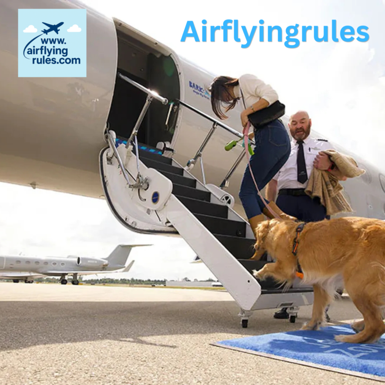 Traveling with pets in flight rules